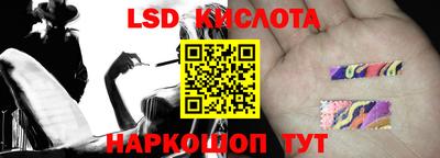 крисы Пенза
