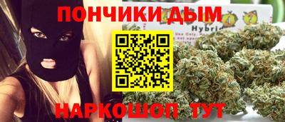 крисы Пенза