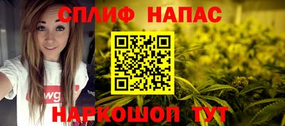 крисы Пенза