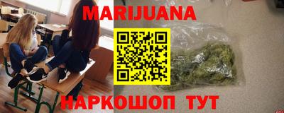крисы Пенза