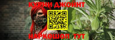 крисы Пенза