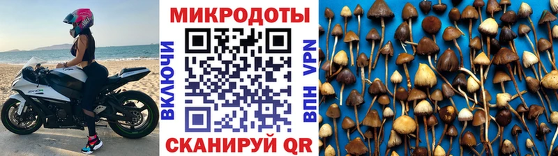 Галлюциногенные грибы мицелий  как найти закладки  Старая Купавна 