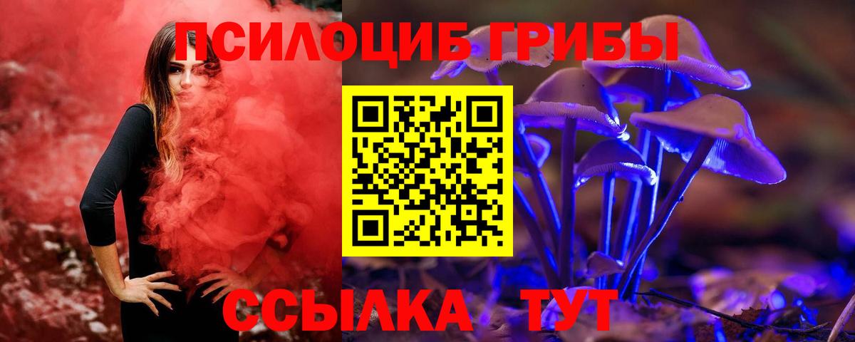 Старая Купавна  Галлюциногенные грибы MAGIC MUSHROOMS  Галлюциногенные грибы GOLDEN TEACHER  Вход с VPN 